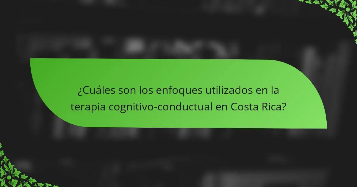 ¿Cuáles son los enfoques utilizados en la terapia cognitivo-conductual en Costa Rica?